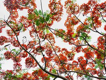 《剑灵》IP新游上线Steam，油腻的世界变成二次元