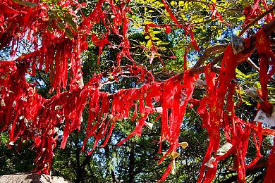 《博德之门：黑暗联盟2》现已发售 国区售价90元